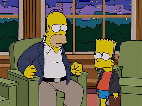 the simpsons season 20|the simpsons season 15.